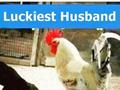 Luckiest Husband
