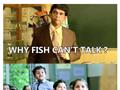 Why Fish Cant Talk