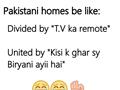 Pakistani Homes