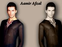 Aamir Afzal